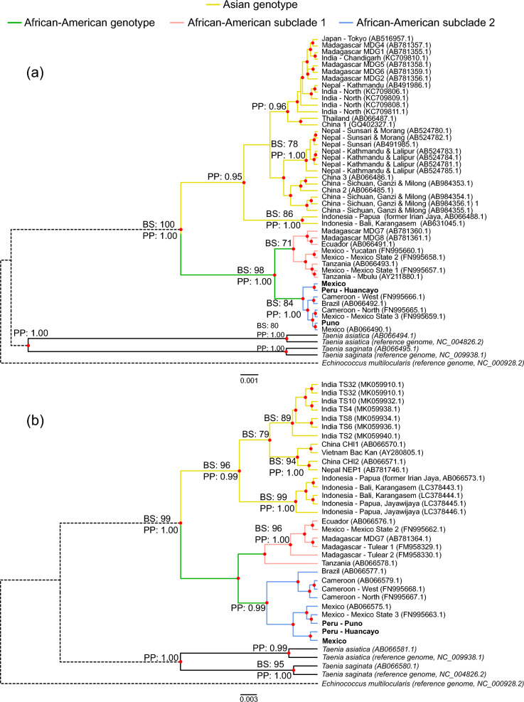 Fig. 4