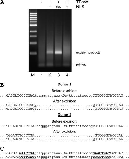 Figure 2.—