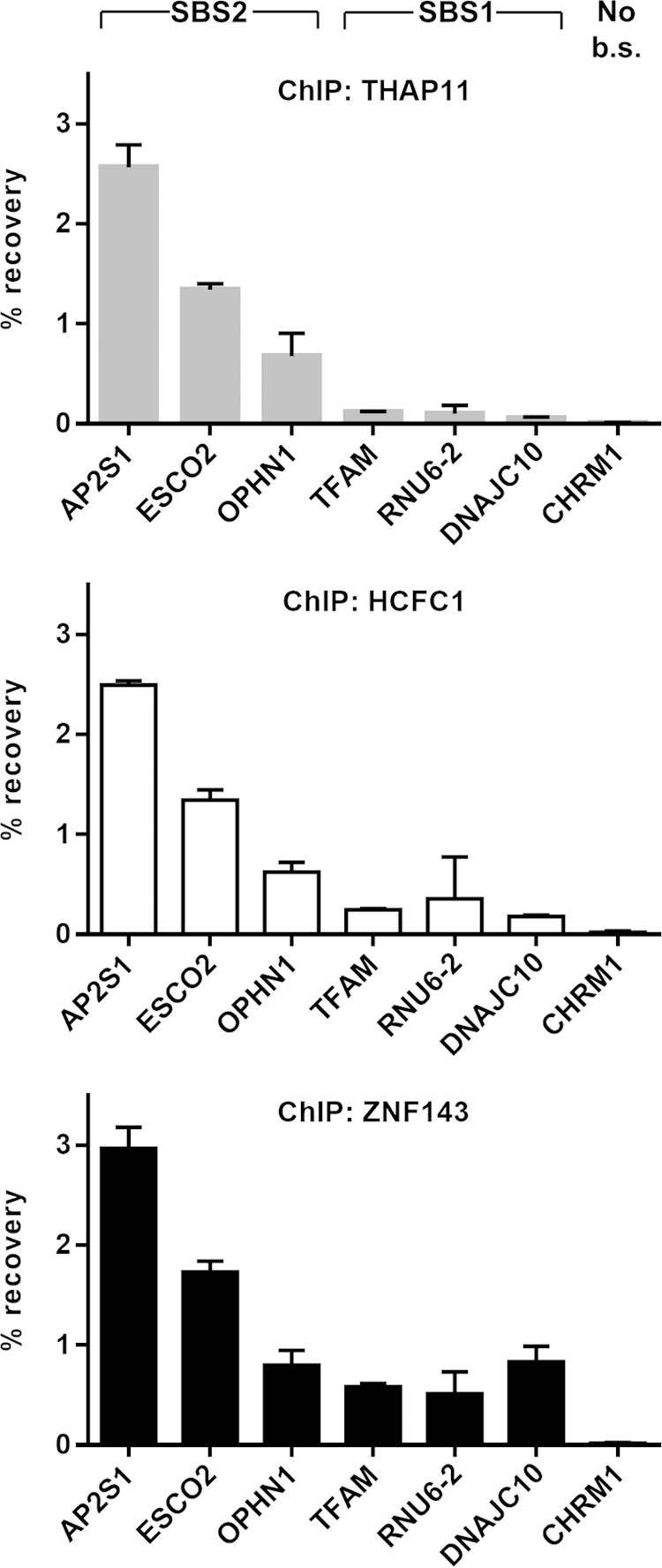 FIG 2