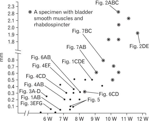 Fig. 8