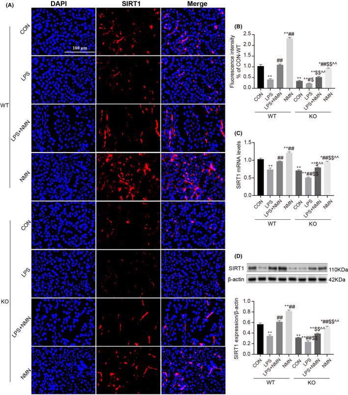 FIGURE 4