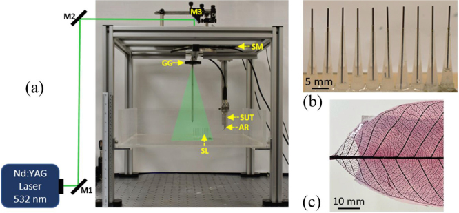 Fig. 3