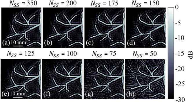 Fig. 8