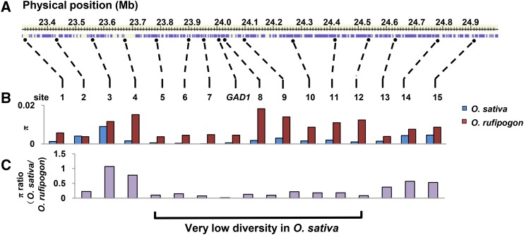 Figure 6.