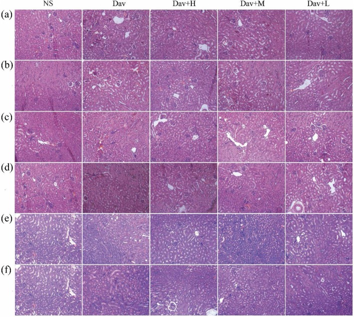 Fig. 12