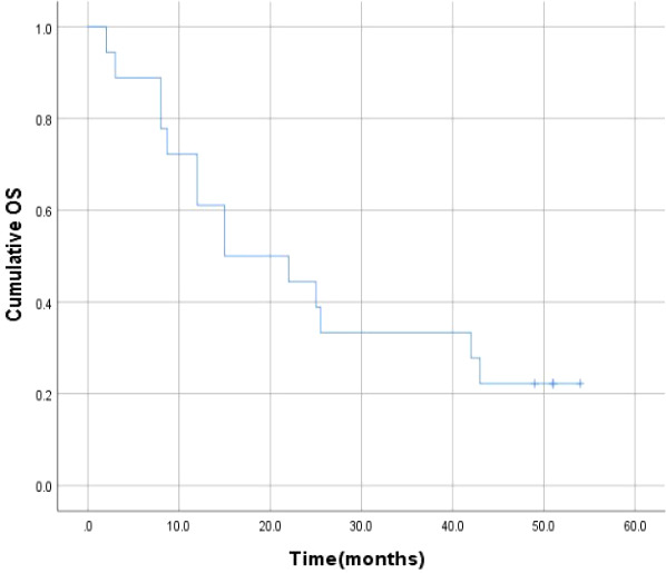 Figure 4