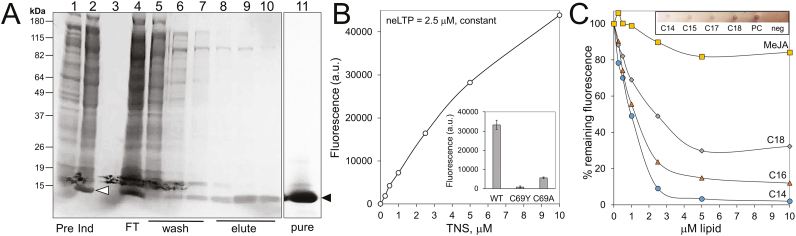 Fig. 5.