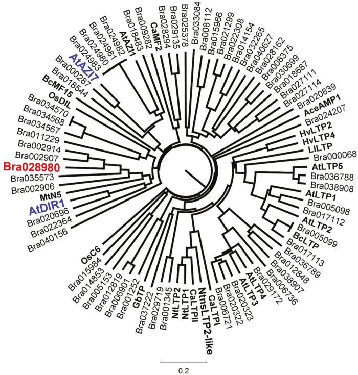 Fig. 3.