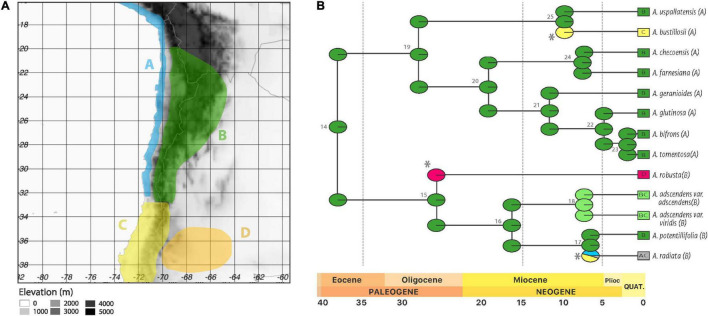 FIGURE 6