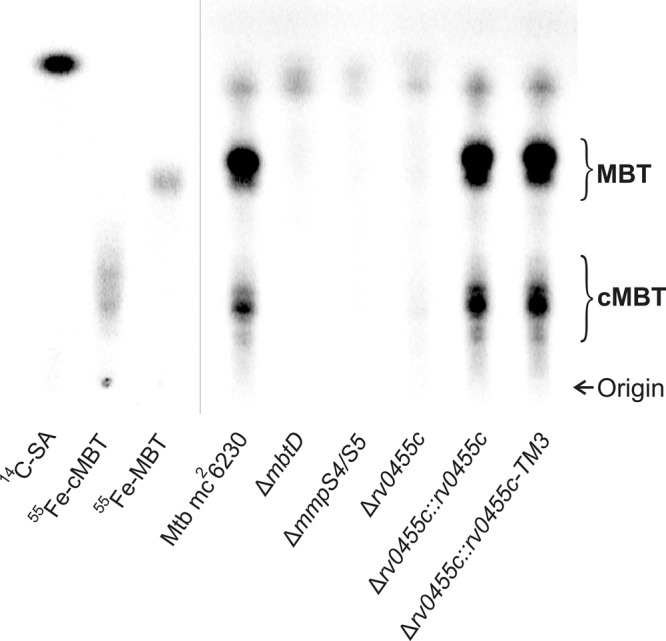 Fig. 3