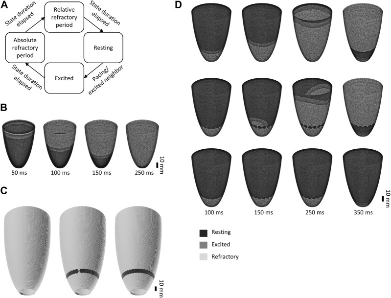 FIGURE 3