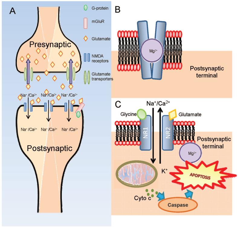 FIGURE 2