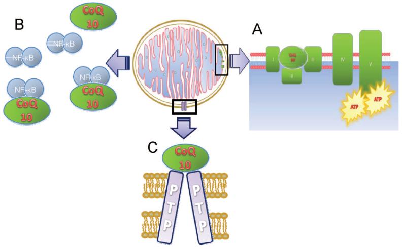 FIGURE 3