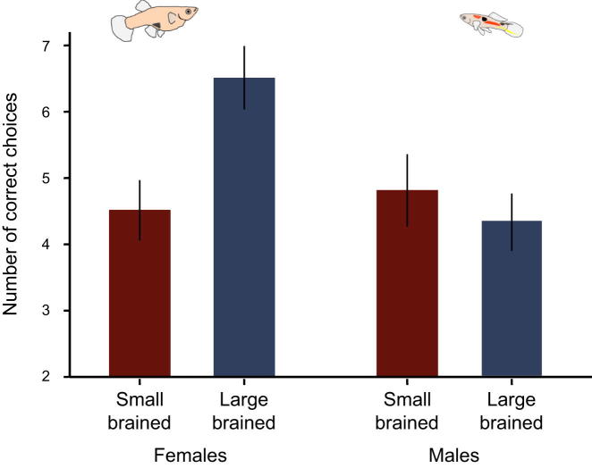 Figure 2