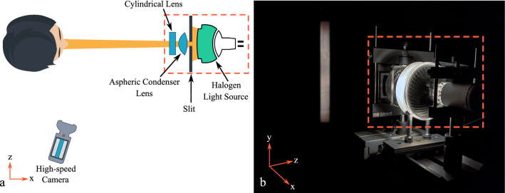 Fig. 1