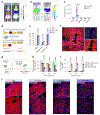 Fig. 4 |