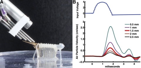 Fig. 1.