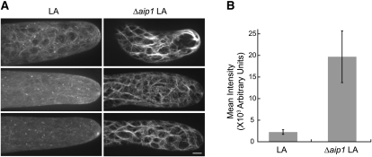 Figure 6.