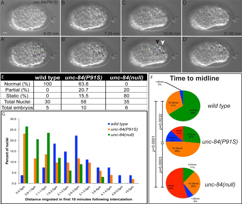 FIGURE 4: