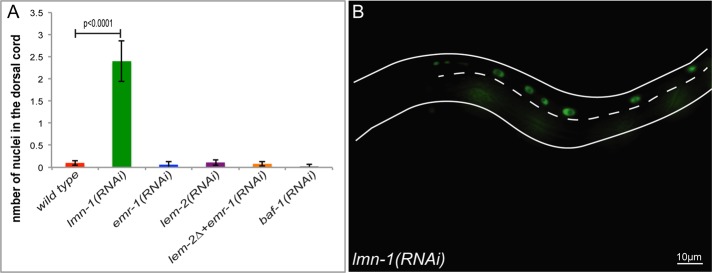 FIGURE 3: