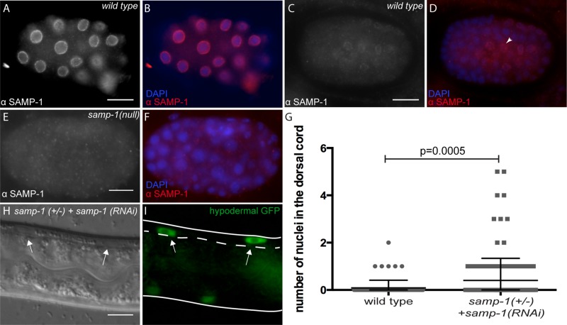 FIGURE 6: