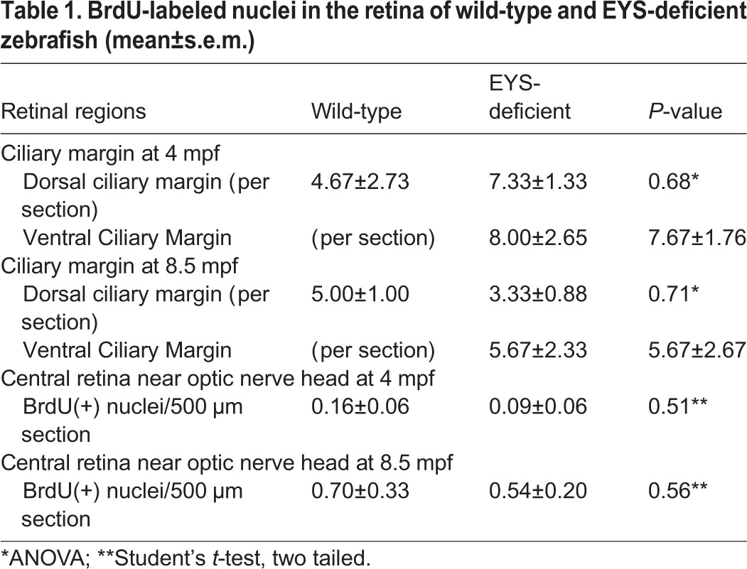 graphic file with name biolopen-5-021584-i1.jpg