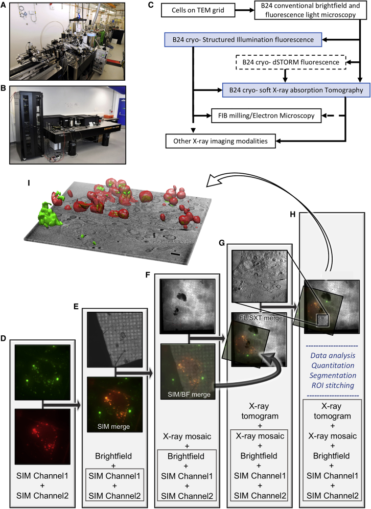 Figure 4