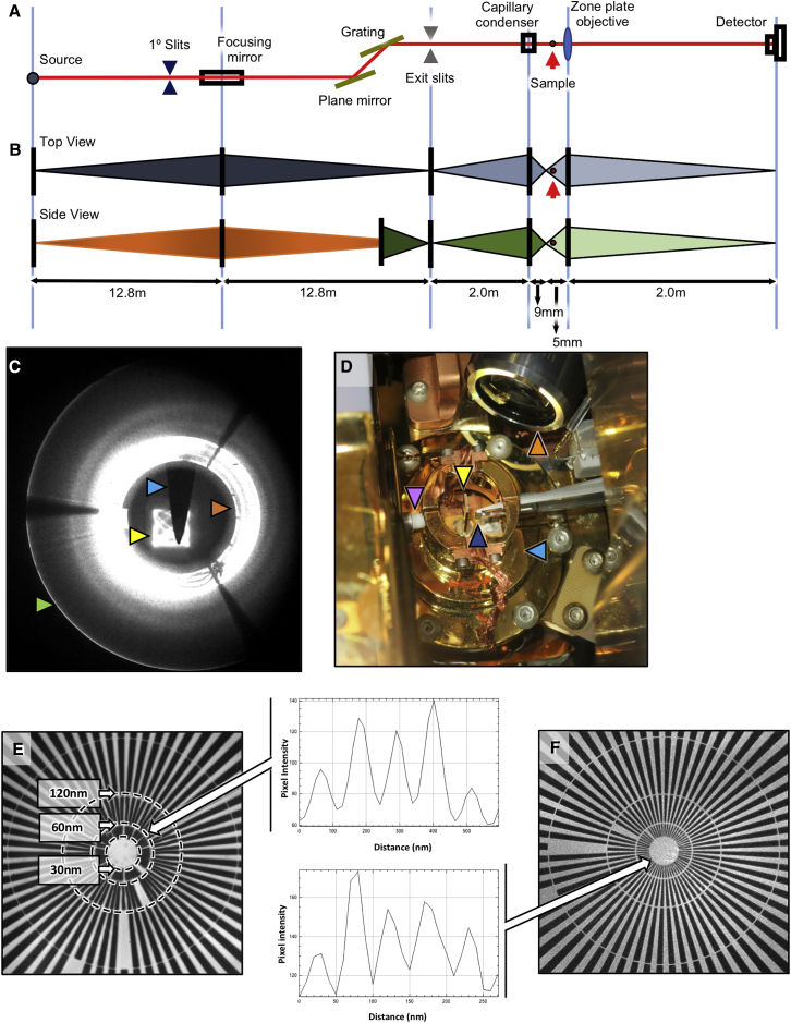 Figure 2