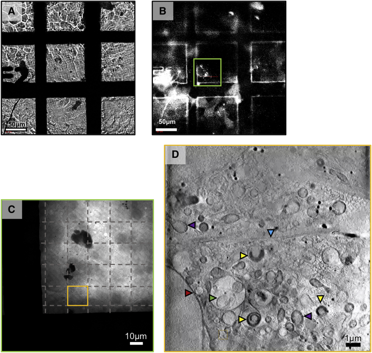 Figure 3