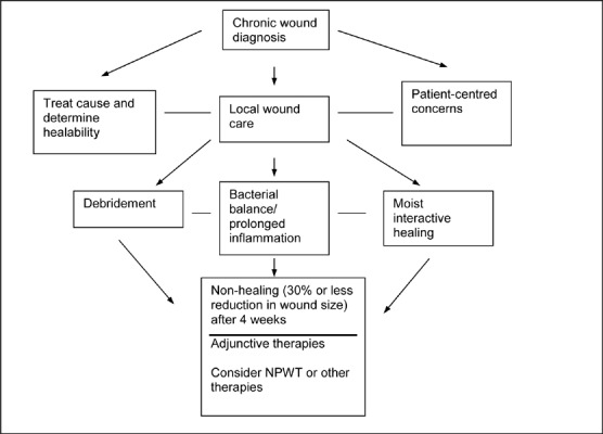 Figure 1: