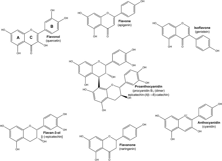 FIGURE 1.