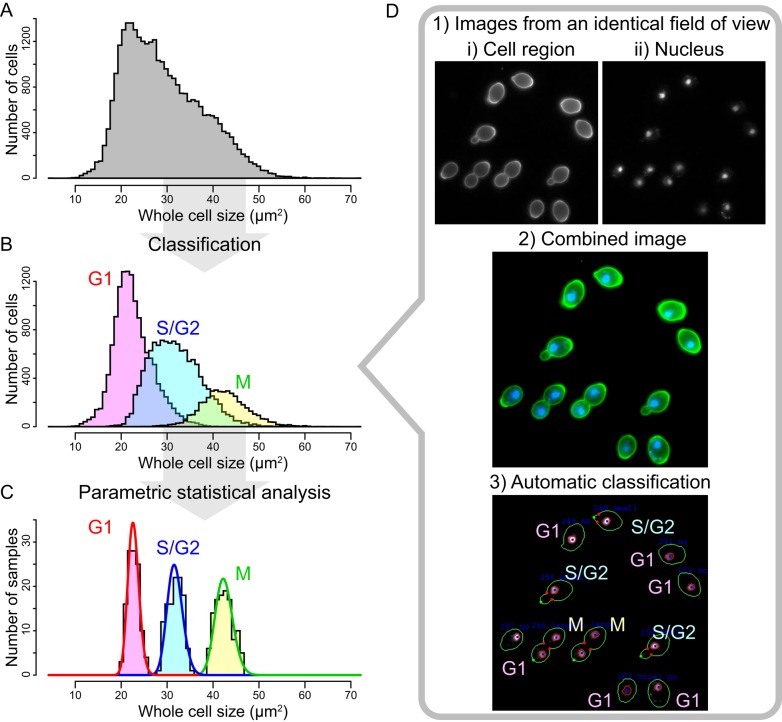 FIGURE 2: