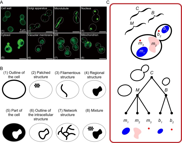 FIGURE 1: