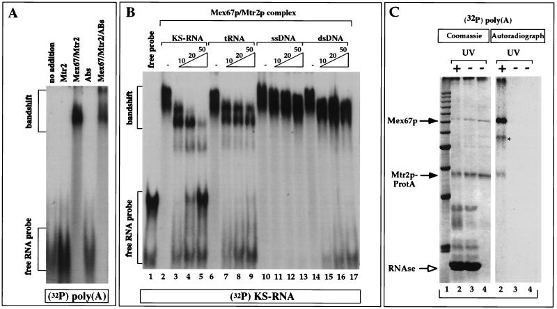 FIG. 7