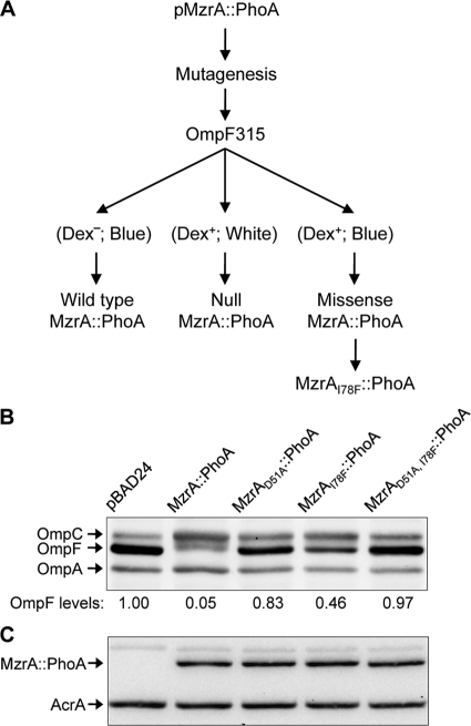 FIG. 6.