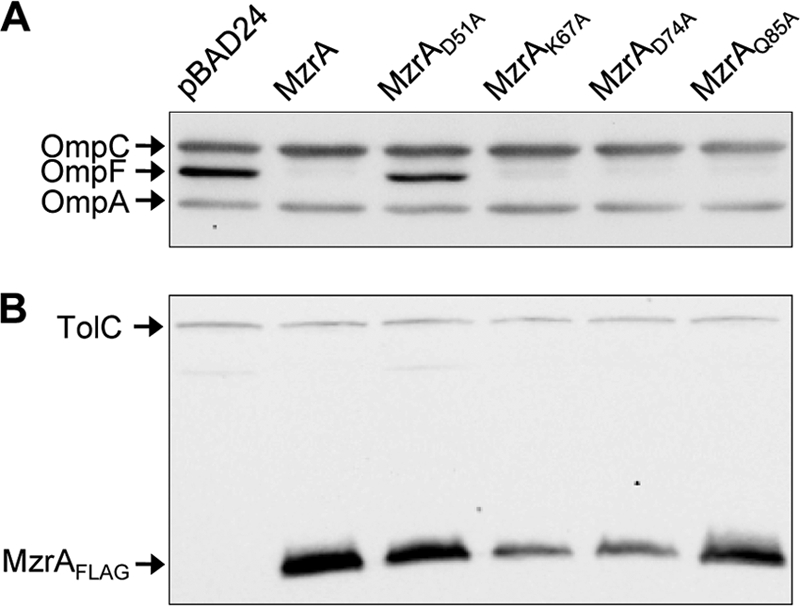 FIG. 5.