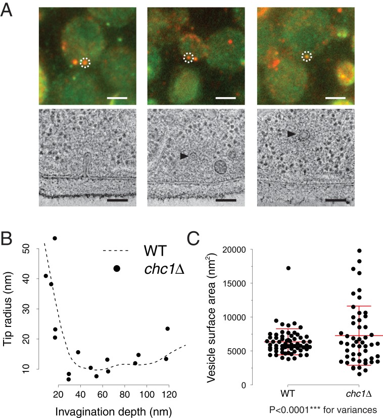 Figure 2.