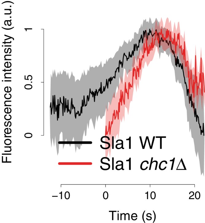 Figure 1—figure supplement 1.