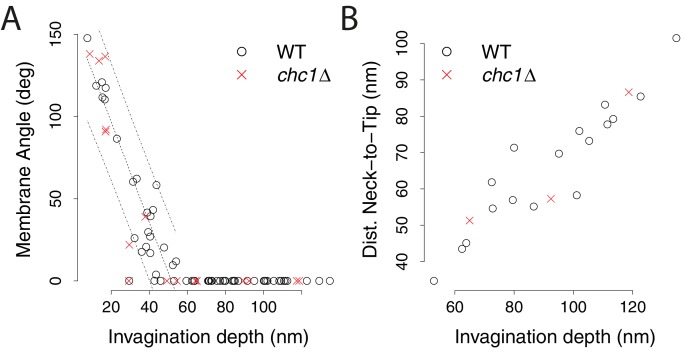 Figure 2—figure supplement 1.