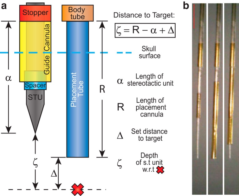 Figure 3.