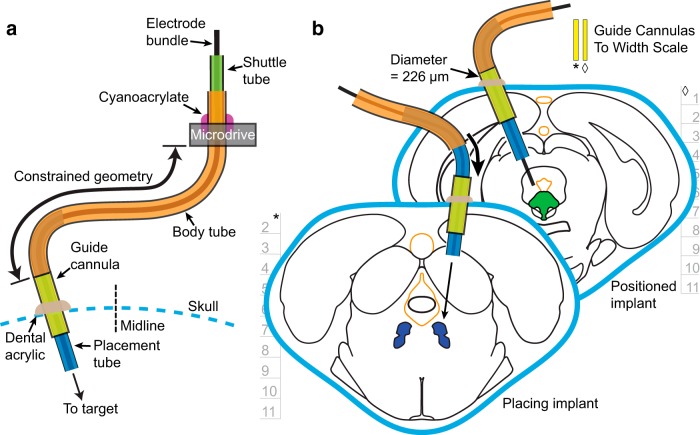 Figure 2.