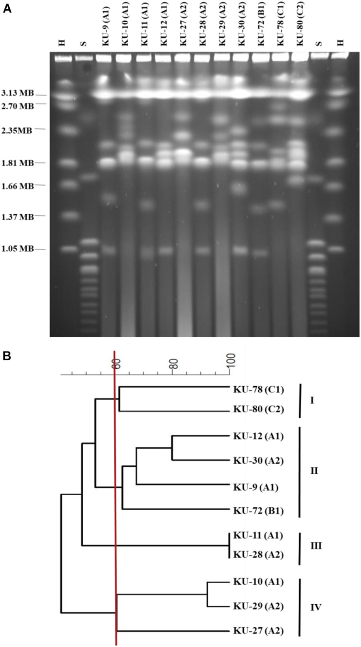 FIGURE 1