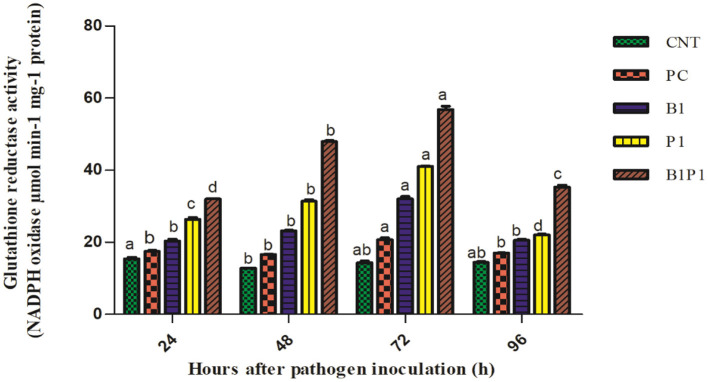 Figure 11