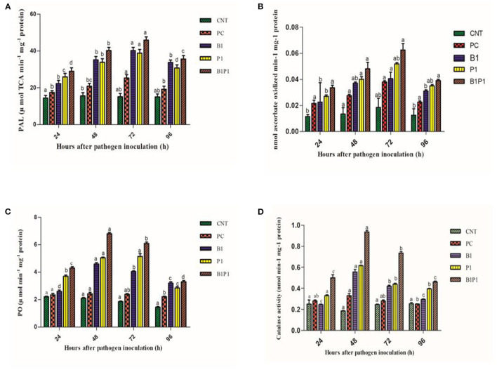 Figure 12