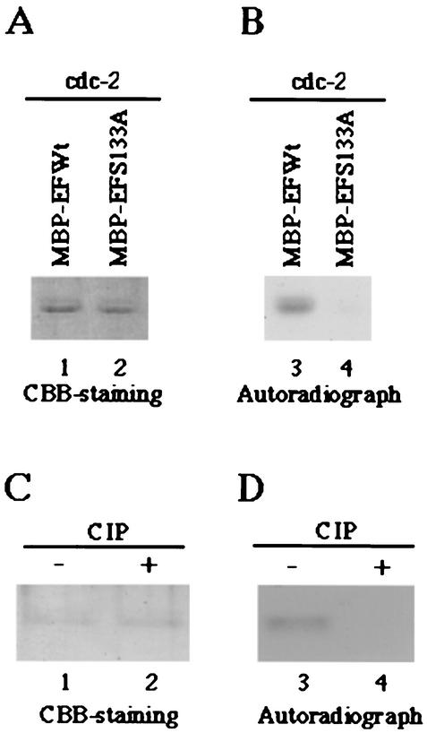 FIG. 5.