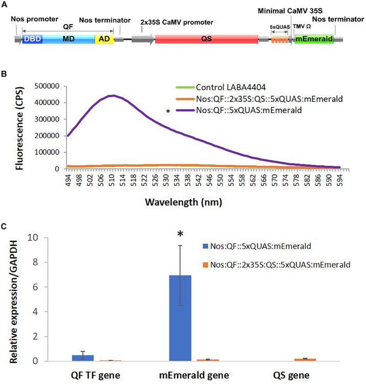 FIGURE 6