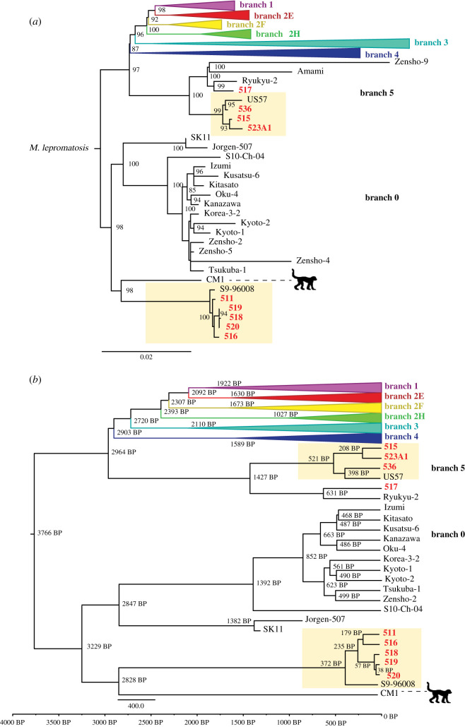 Figure 2.