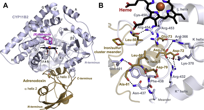 Figure 5