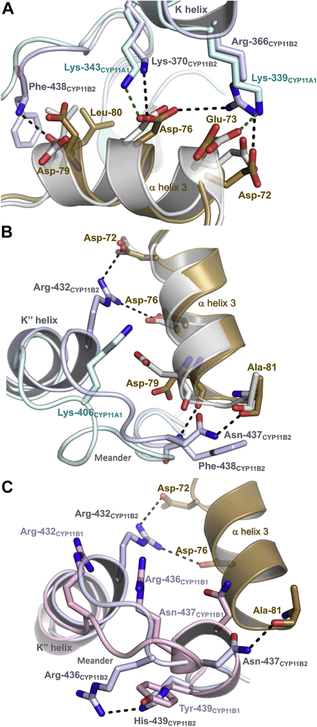 Figure 7