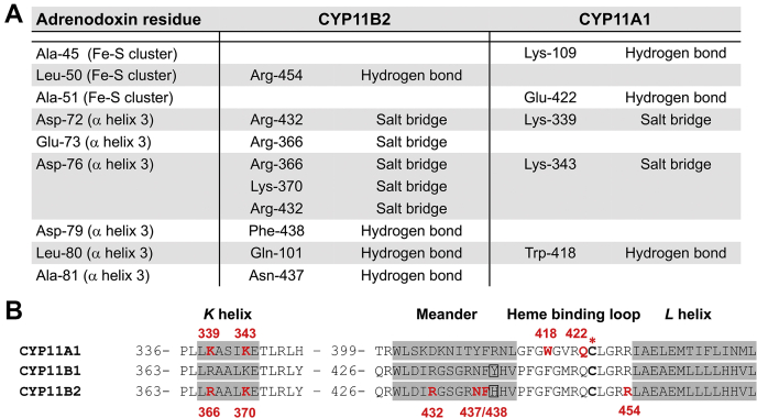 Figure 6